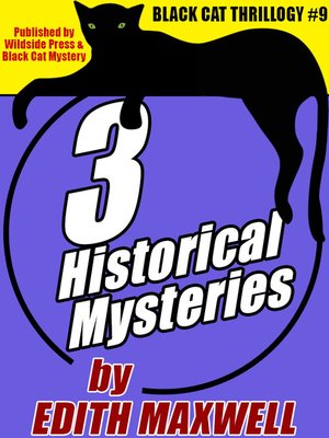 cover image of 3 Historical Mysteries by Edith Maxwell